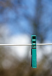 Clothes peg on the line