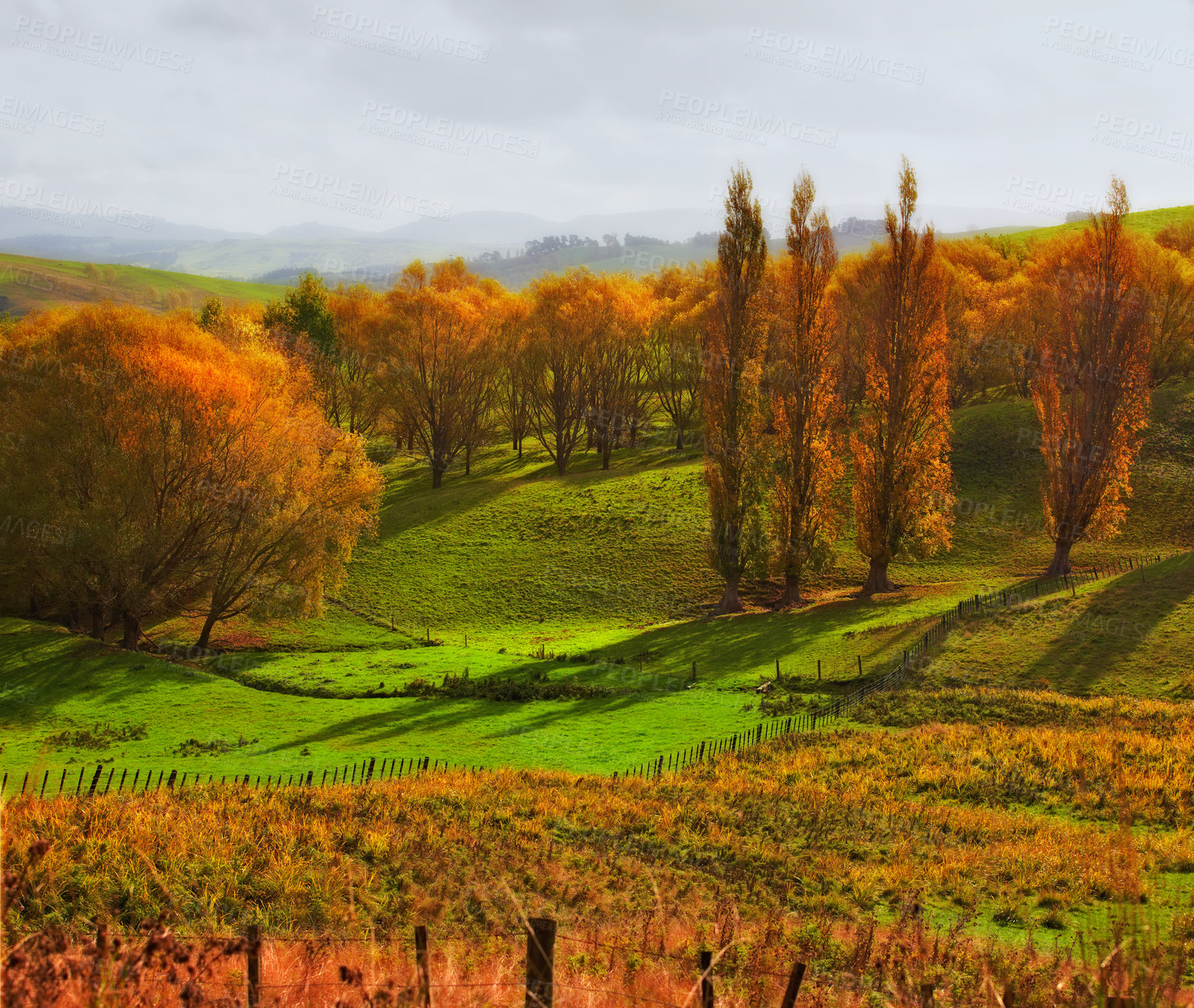 Buy stock photo A rural scene during Autumn in Denmark