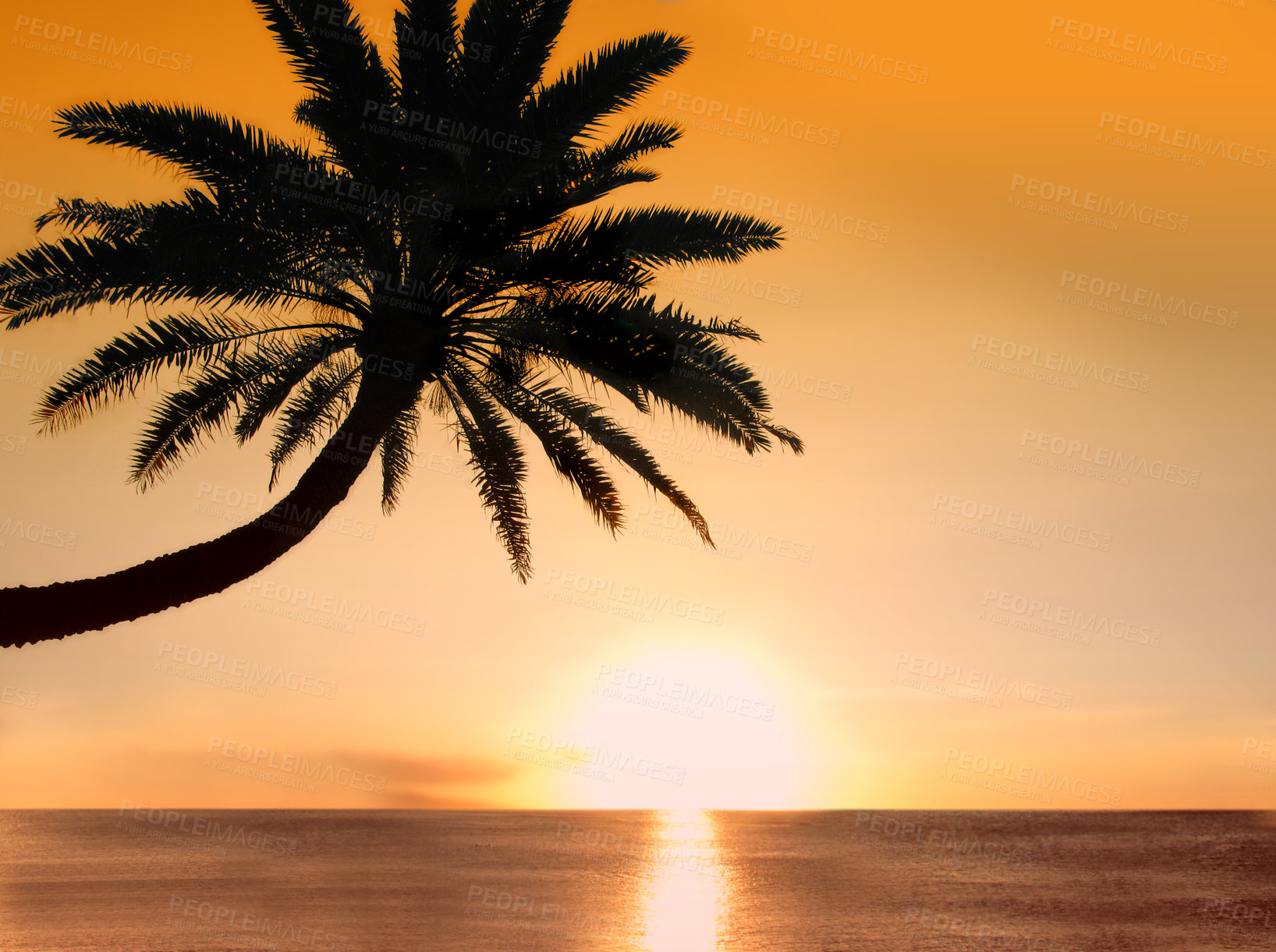 Buy stock photo Palm tree, ocean and sunset or sky horizon for holiday adventure in Maldives for summer, vacation or outdoor. Plants, environment and evening view with sunlight for sightseeing trip, calm or tropical