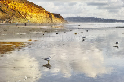 Torrey Pines Beach, San Diego, Callifornia [please include the above in the title]