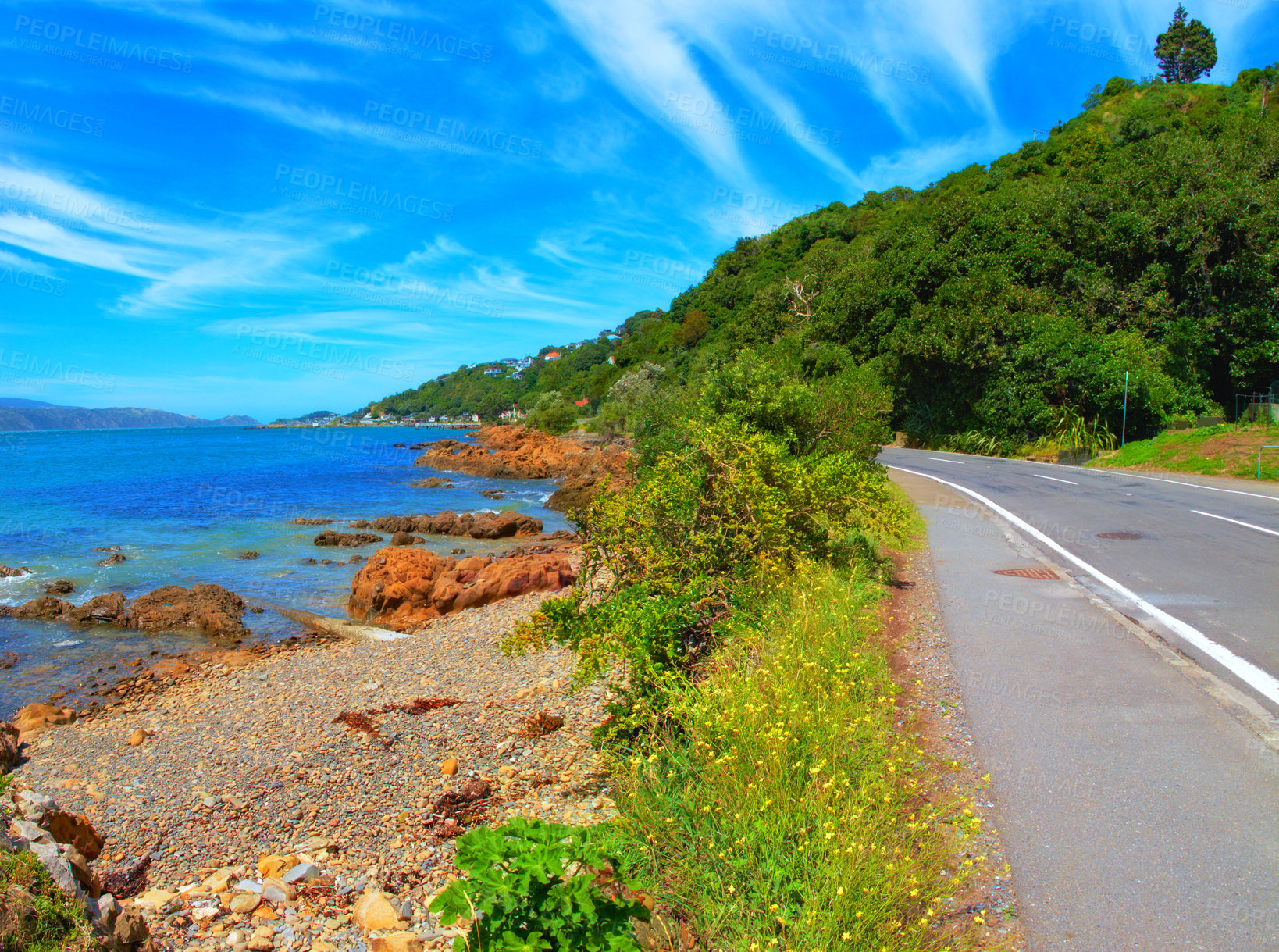 Buy stock photo Shoreline, beach and nature on coastal road, forest and summer landscape with sunshine. Blue sky, earth and trees with ocean and bushes on tar highway, outdoor and woods by seaside rocks and greenery