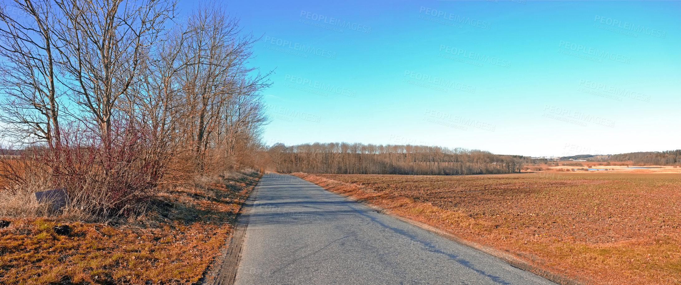 Buy stock photo Road, landscape and trees with field in countryside for travel, adventure and autumn with blue sky in nature. Street, path and location in Amsterdam with tarmac, roadway and environment for tourism