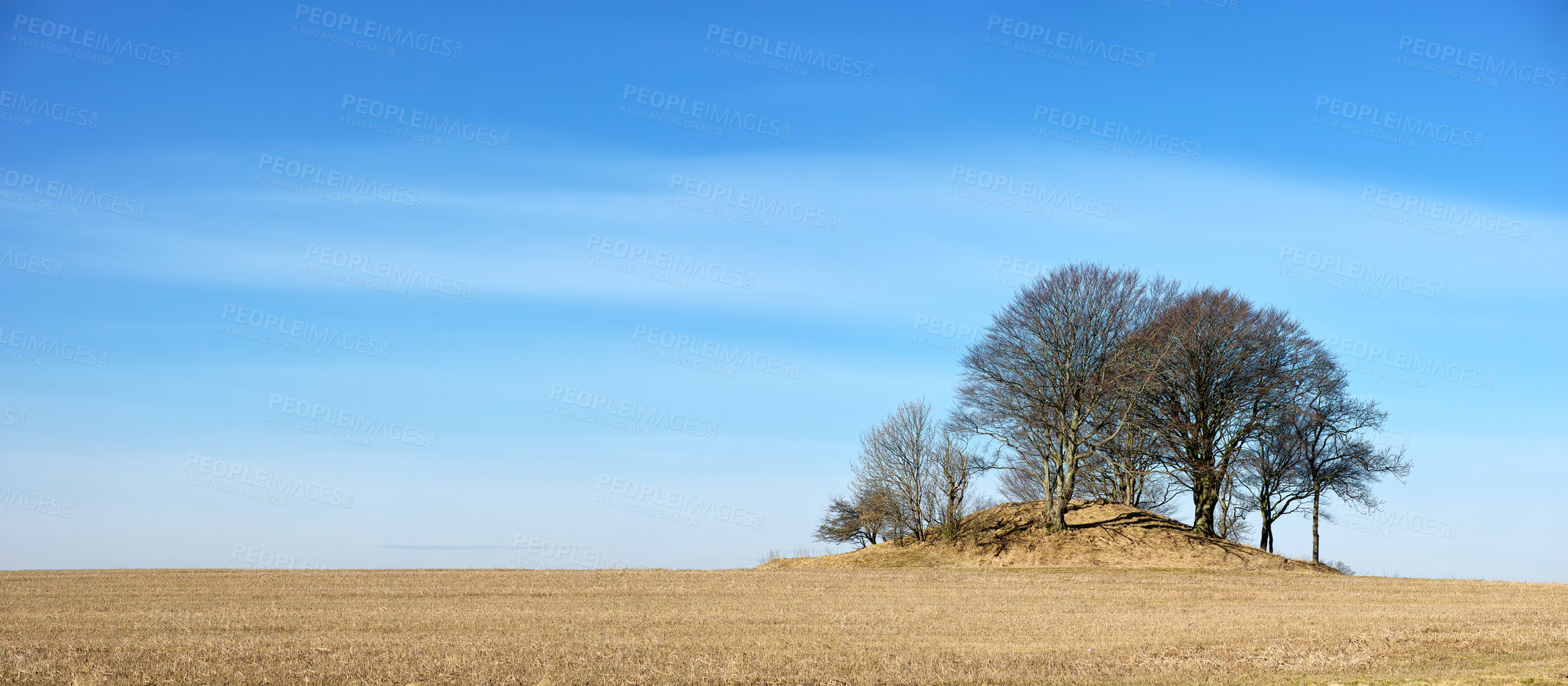 Buy stock photo Field, summer and trees with environment, blue sky and nature with countryside and eco friendly. Landscape, clouds and outdoor with woods or bushes with growth and sunshine with ecology or fresh air