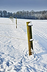 Frosty fence
