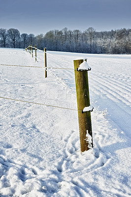 Buy stock photo Winter, landscape or fence with nature or snow on frozen morning for weather, climate or cold season. Alaska, roadside or wild plants in woods for ecosystem background, environment or natural habitat
