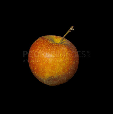 Buy stock photo A red apple isolated on a black background in professional studio photography. A juicy fresh red apple on a black backdrop. An angled view of a dotted texture apple with dark black isolation. 