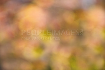 Buy stock photo Abstract blurred background in autumn shades and colors. Autumn blurred background. Defocus colorful leaves abstract backdrop with sun flares. Orange, red and yellow colors. Bokeh
