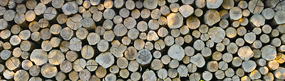 Buy stock photo Lumber, wood and birch above with pile, forest and tree outdoor with deforestation and timber for firewood. Log, nature and woods for construction material and trunk resource of bark for logging