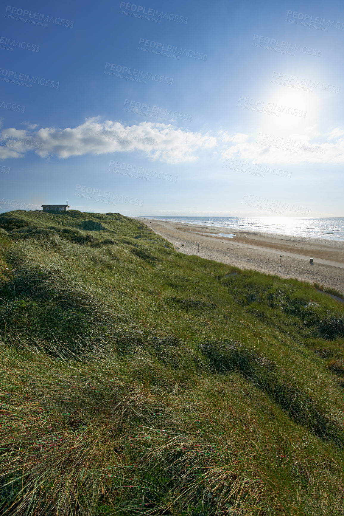 Buy stock photo Dune grass, seaside and beach in landscape, nature and environment for outdoor. Ocean, water and clouds in blue sky morning, plants or seashore or sand and waves in summer or winter for relaxing