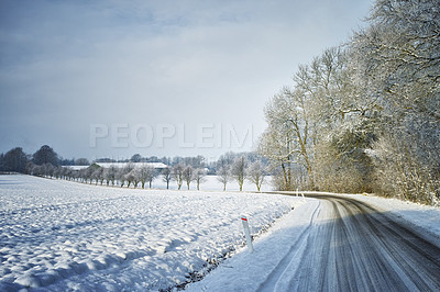 Buy stock photo Snowcapped trees lining an empty road through a wintery Danish landscape