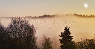 Buy stock photo Landscape, sky or fog with trees or winter on cold morning for weather, climate or outdoor nature. Sunshine, scenery and forest mist in woods for ecosystem background, environment or natural habitat