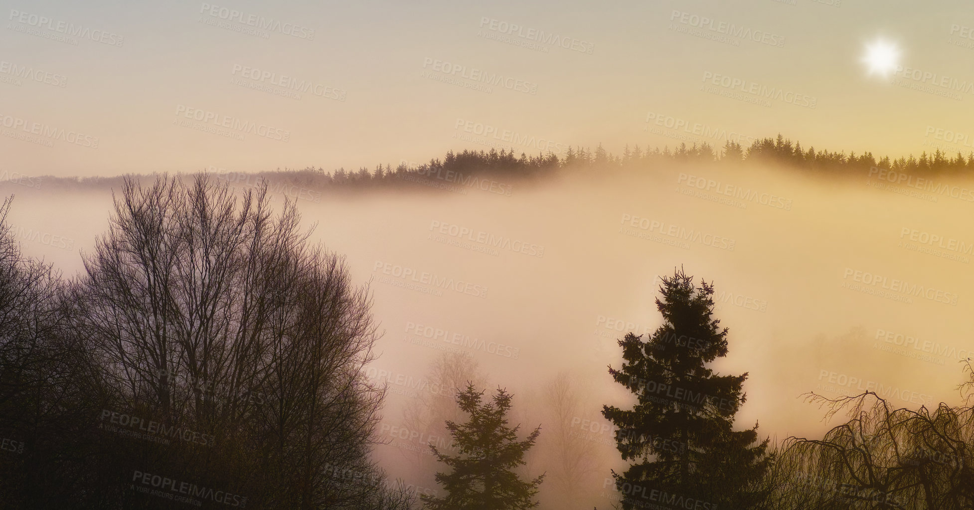 Buy stock photo Landscape, sky or fog with trees or winter on cold morning for weather, climate or outdoor nature. Sunshine, scenery and forest mist in woods for ecosystem background, environment or natural habitat
