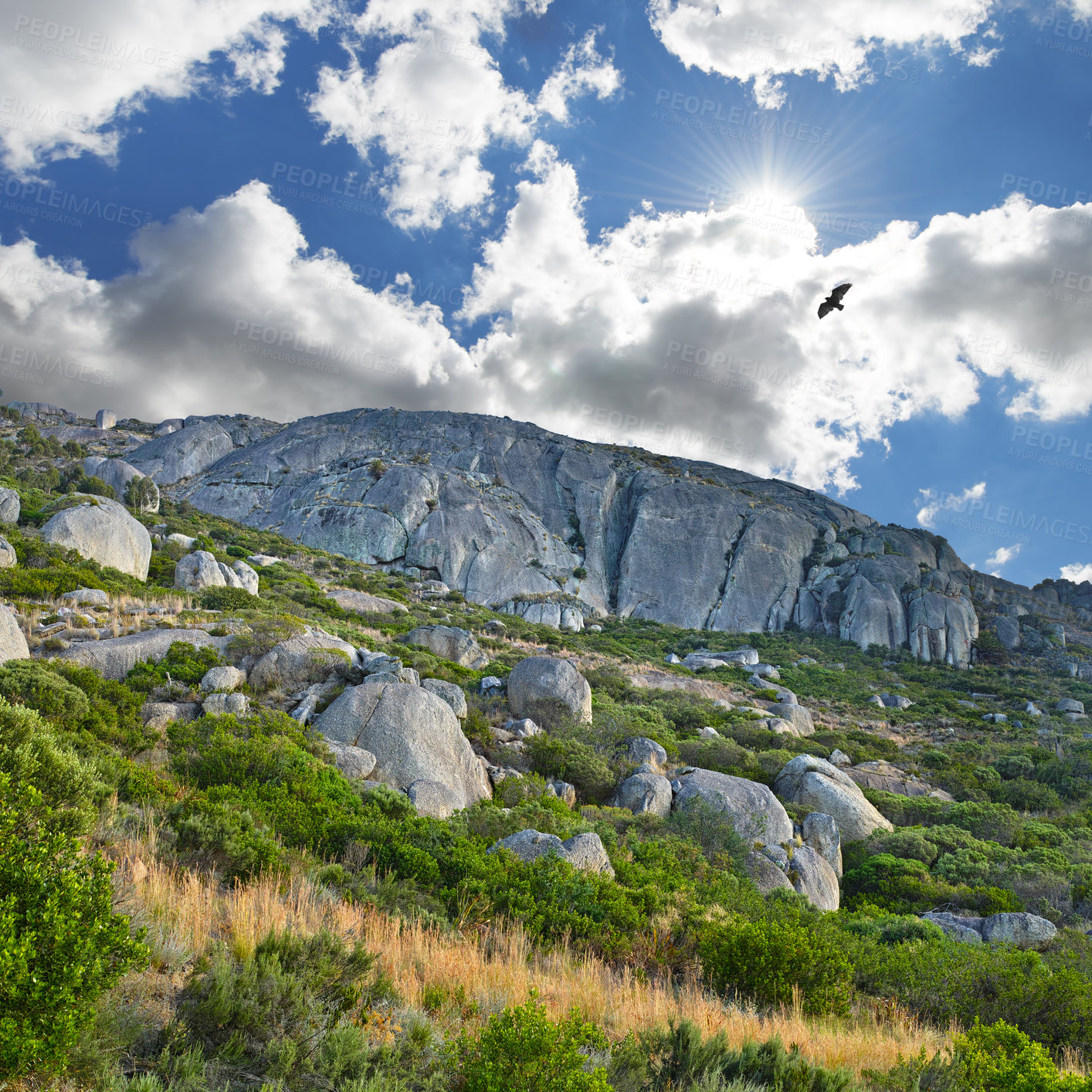 Buy stock photo Mountains, environment and blue sky with nature, birds and stone with landscape and vacation. Empty, rocks and grass with flowers or countryside with summer or animals with sunshine, growth or spring