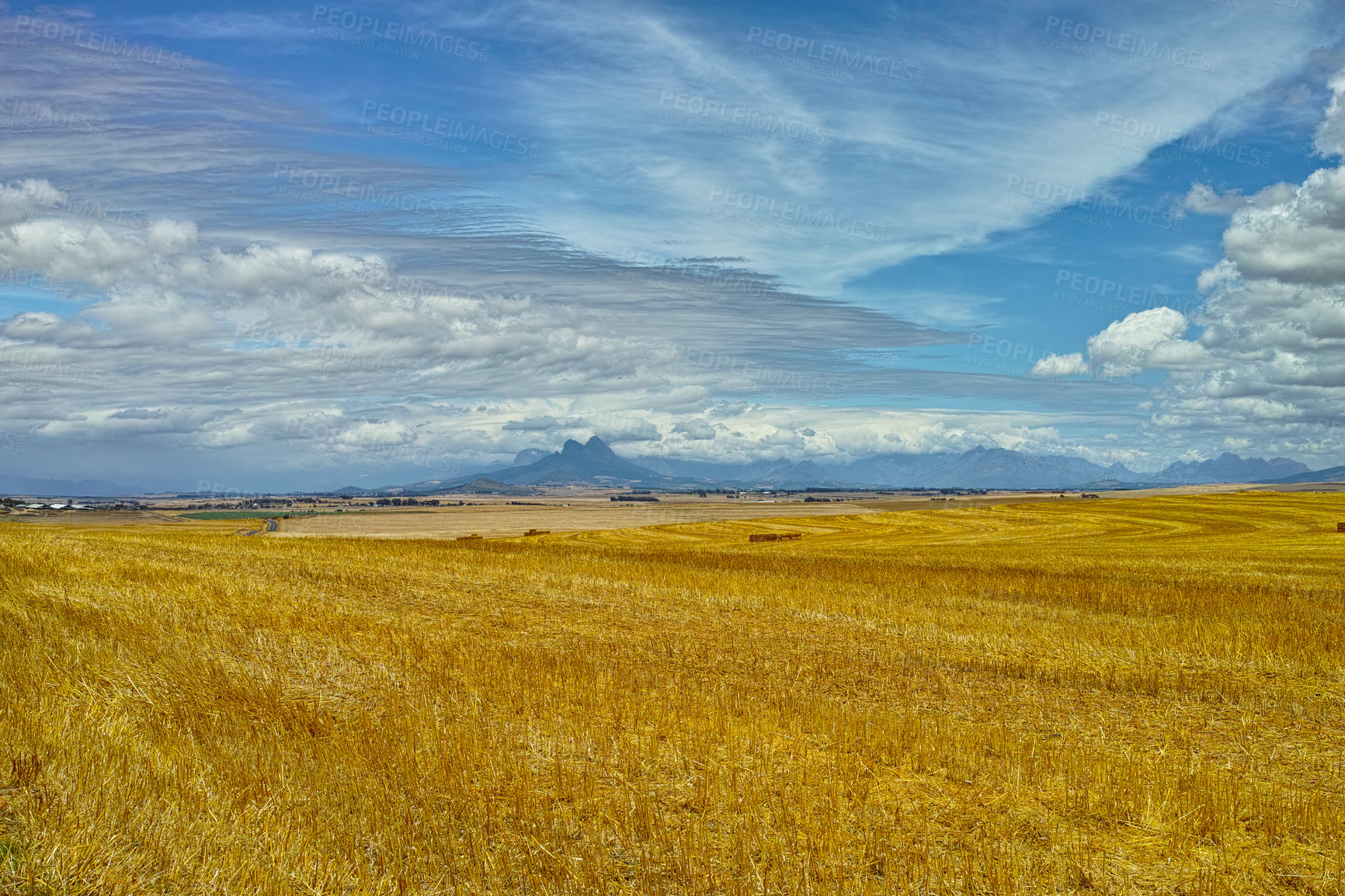 Buy stock photo Open, field and landscape with clouds in sky for wellness, nature and countryside for harvest. Grass, straw and golden grain for farming, environment and wheat crop for rural life or agriculture view
