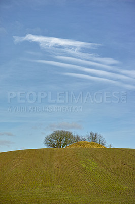 Buy stock photo Landscape, field and mound with trees or blue sky in nature with horizon, grass and natural environment in Mexico. Land, meadow and grassland for farming, agriculture and cultivation in countryside