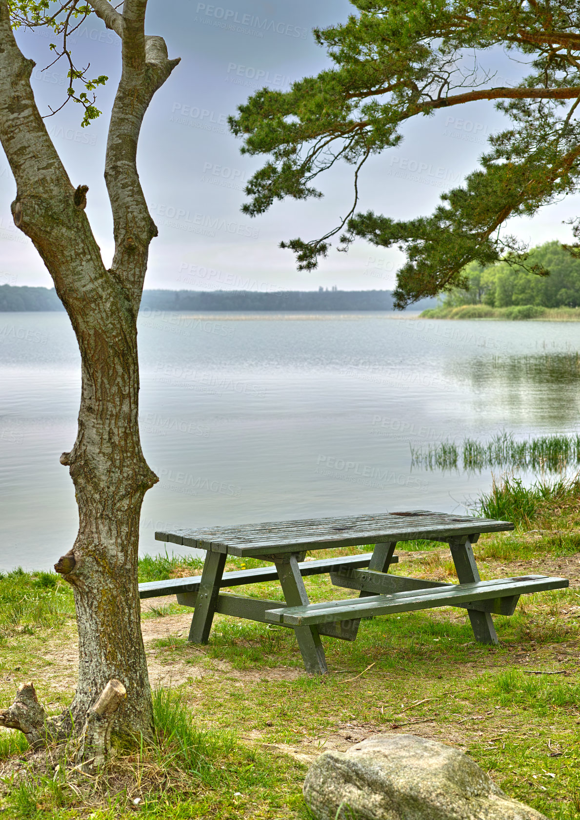 Buy stock photo Lake, bench and summer with nature, trees and environment with grass and earth with blue sky. Empty, seating and water with fresh air and forest with plants and landscape with countryside and ecology
