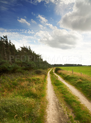 Buy stock photo Path, landscape and trees with sky in countryside for travel, adventure and roadtrip with forest in nature. Road, clouds and location in Amsterdam with journey, roadway and environment for tourism