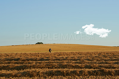 Buy stock photo Landscape, person and bicycle in field in nature with blue sky for cycling, exercise and fitness in countryside. Meadow, grassland and horizon with clouds, grass and natural environment for journey 