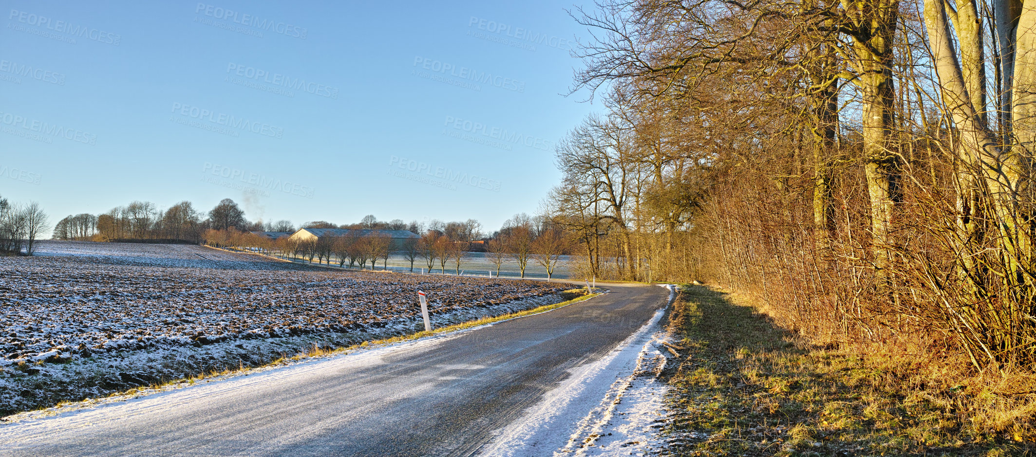 Buy stock photo Road, landscape and trees with field in countryside for travel, adventure and roadtrip with snow in nature. Street, pathway and location in Denmark with tarmac, roadway and environment for direction