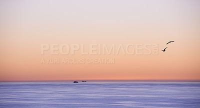 Buy stock photo Ocean, sunset or sand seagulls on seascape in island, flying or summer migration or bird in nature. Sky, clouds or neon color on torrey pines beach, calm or outdoor travel in california or landscape