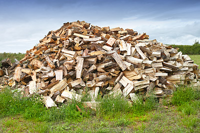 Buy stock photo Nature, wood and deforestation with log pile on ground outdoor for industry, manufacturing or production. Environment, trees and grass in forest or woods for lumber or logging supply and profession