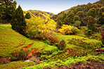 Scenic autumn valley in the New Zealand landscape