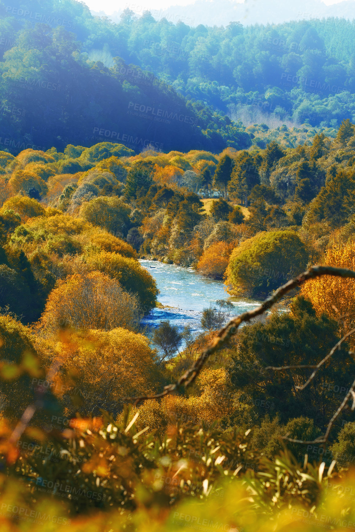 Buy stock photo Autumn, river and valley or landscape in countryside with trees, forest and environment in New Zealand. Agriculture, stream and woods for sustainability, scenery and location outdoor for ecology
