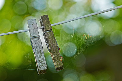 Buy stock photo Closeup of two wooden pegs on a washing line with spiders webs. Old clothes pins hanging on a clothing line or rope outside in a backyard garden