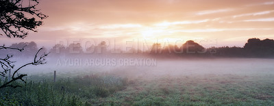 Buy stock photo Farm, cereal plants and mist on field in morning, sunrise and wheat plant in sustainable environment. Countryside, sunshine or grain agriculture in england, crops or calm in rural ecology in nature