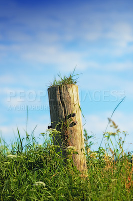 Buy stock photo Fence, post and nature environment with grass and countryside for travel holiday, grassland or vegetation. Wood, blue sky and summer garden park in Europe with foliage greenery, outdoor or plants