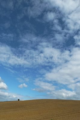 Buy stock photo Open, field and landscape with clouds in sky for wellness, nature and countryside for harvest. Grass, straw and golden grain for farming, environment and crop for rural life or agriculture view