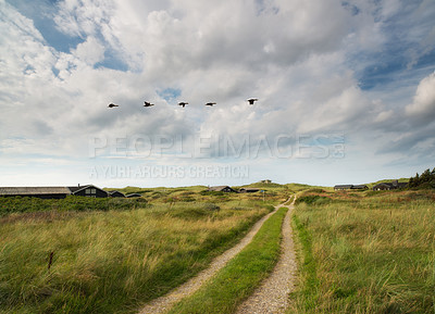 Buy stock photo Path, landscape and field with clouds in countryside for travel, adventure or roadtrip with birds in nature. Street, road and location in Amsterdam with journey, roadway and environment for tourism