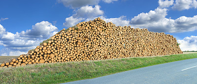 Buy stock photo Log, timber and stack of wood on a road with forest, trees and nature with firewood and deforestation. Plant, street and outdoor in countryside with bark, birch or maple supply with wooden material