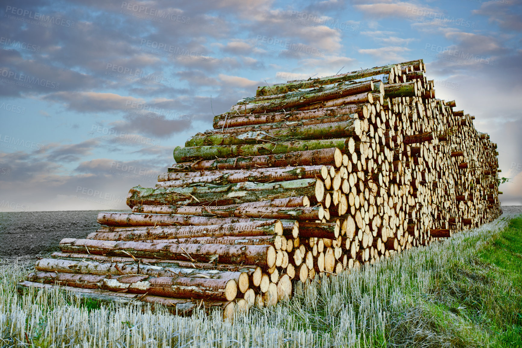 Buy stock photo A large pile of wood