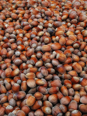 Buy stock photo Closeup of many acorns packed together. Masting taken place from large oak trees. Zoom in on many nuts laid out during mast crop season. Variety of shapes, sized and shades of brown. Nature wallpaper