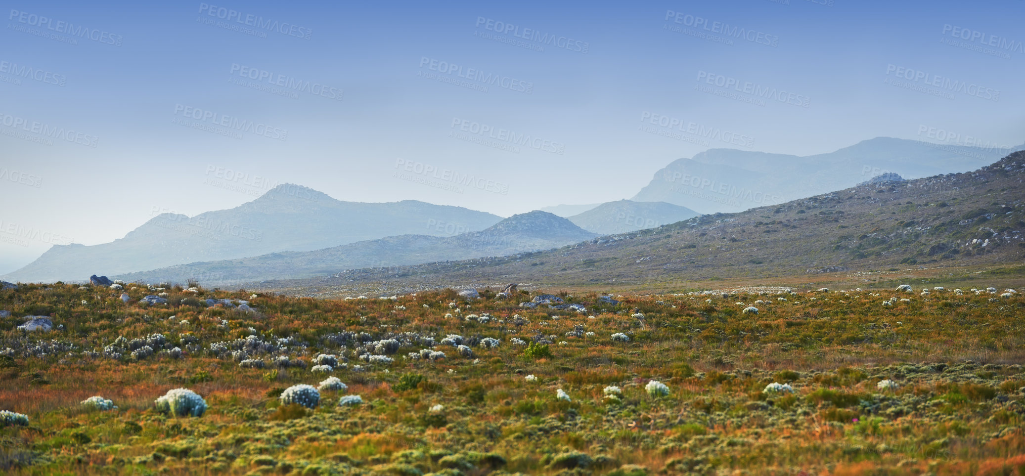 Buy stock photo Mountain, field and bush landscape with grass on rock, texture or countryside in Africa like heaven. Morning, outdoor and banner of hill with biodiversity in environment with flowers and stone