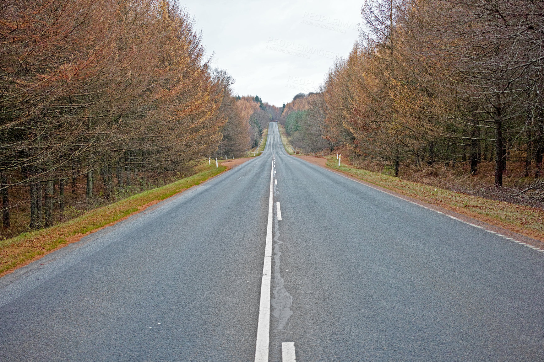 Buy stock photo Street, trees and clouds in sky with overcast weather for trip, journey or travel on highway in fall. Environment, nature and street at countryside with nature, horizon and view of forest in Germany