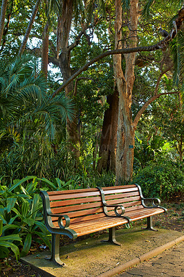 Buy stock photo A park bench beneath a tree