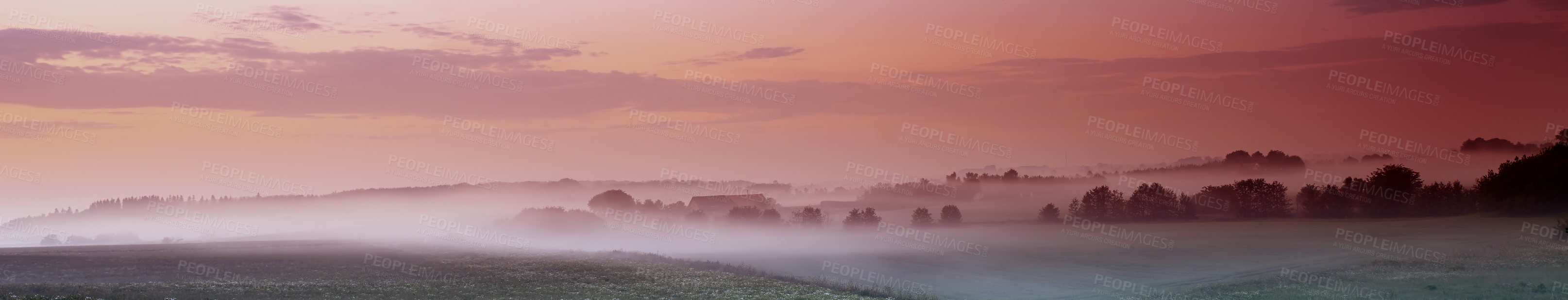 Buy stock photo Farm, mist and panorama of agriculture nature with sunset environment or sustainability production, harvest or fog. Grassland, morning and dusk in England landscape or forest trees, ecology or field