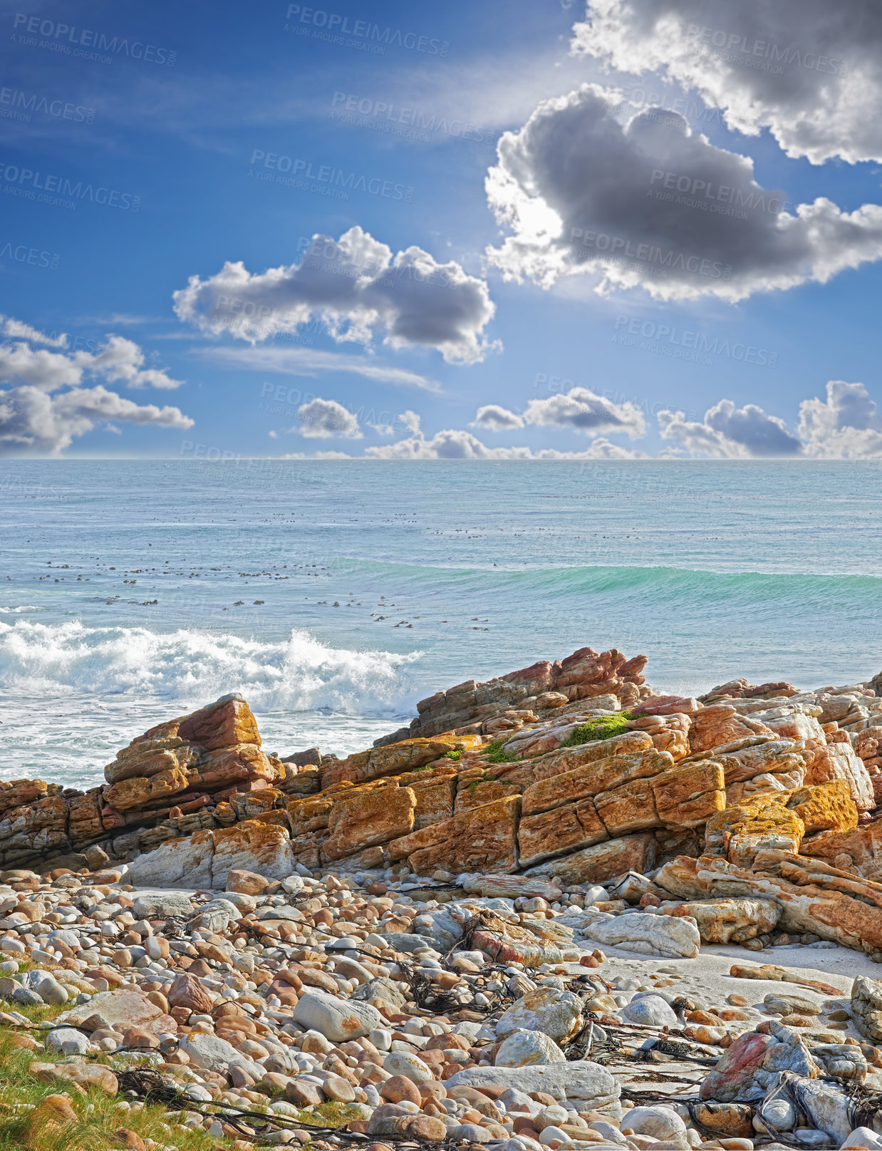 Buy stock photo A rocky coastline in the Western Cape, South Africa on a hot summer day. Clear sky and beaches, a perfect getaway filled with self care resorts and wellness outdoor activities with tropical weather