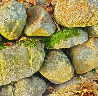 Buy stock photo Closeup of a heap of rocks covered in green mold and autumn leaves. Stone boulders surrounded by dried fallen orange and yellow leaves in the fall season. Details of rough textures on stone 