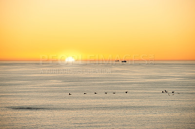 Buy stock photo Ocean, sunset or sunrise in morning on island or birds flying on seascape for summer migration in nature. Golden sky, clear or ship on water to travel in marine industry for calm on natural landscape