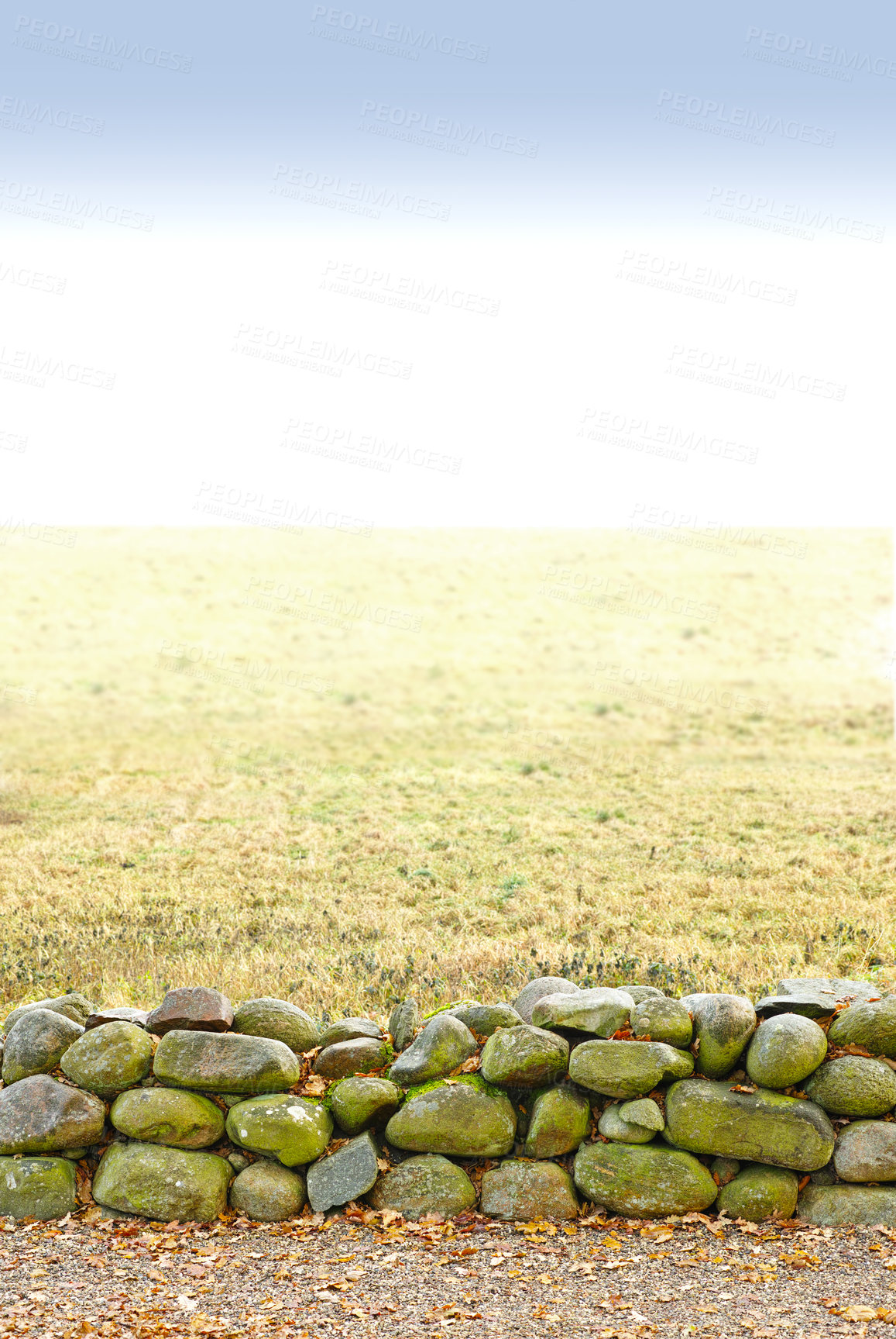 Buy stock photo Landscape, land and wall with stone for agriculture in nature with mockup space, grass and natural environment in Amsterdam. Field, meadow and farmland for farming, conservation or sky in countryside