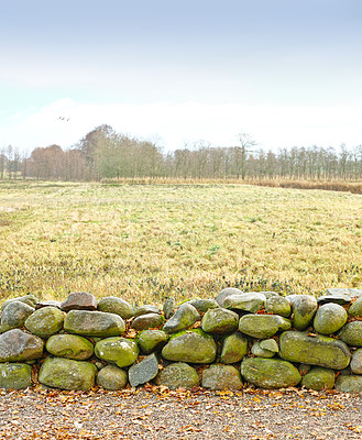 Buy stock photo Landscape, field and wall with stone for agriculture in nature with sky, grass and natural environment in Amsterdam. Land, meadow and farmland for cultivation, conservation and trees in countryside