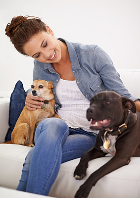 Buy stock photo Woman, sofa and smile with pet dogs for care, love and bonding in home living room, playing and together. Girl, animal family and relax on lounge couch with happiness, lifestyle and cuddle in house
