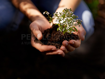 Buy stock photo A young woman preparing to plant herbs