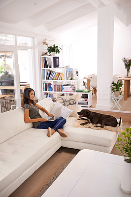 Buy stock photo Laptop, dog and woman on sofa in living room for remote work, communication or freelance job in home. Female person, relax and technology for email, networking or research on feedback for online job