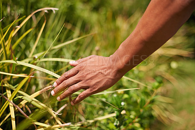 Buy stock photo Shot of a man's hand touch blades of grass