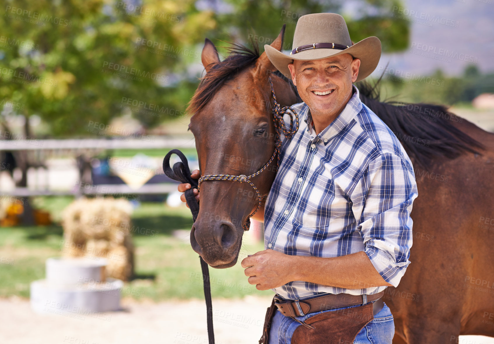 Buy stock photo Man, farmer and happy with horse in ranch for care with bonding, feeding and support in Texas. Mature, male person and cowboy with smile for domestic animal in countryside for agriculture work.