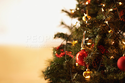 Buy stock photo Christmas tree, decor and interior with bauble for festive, celebration or December ornament at home. Closeup of greenery, decoration or traditional season with shiny ball in new year on mockup space